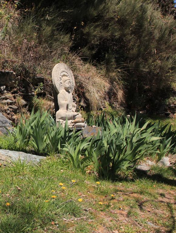 Hostal Rural Las Terrazas De La Alpujarra Bubión Exteriör bild